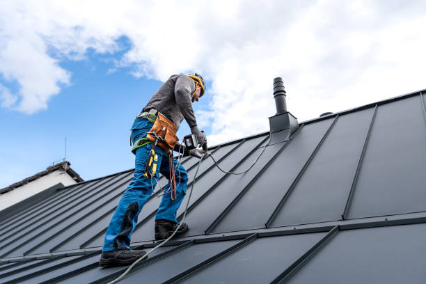 Roof Moss and Algae Removal in Victoria, KS